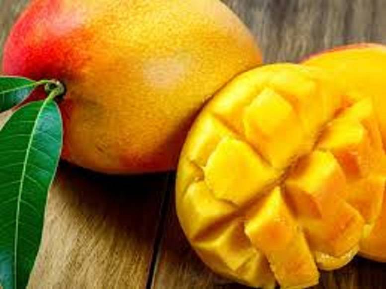 SMOOTHIE MANGUE