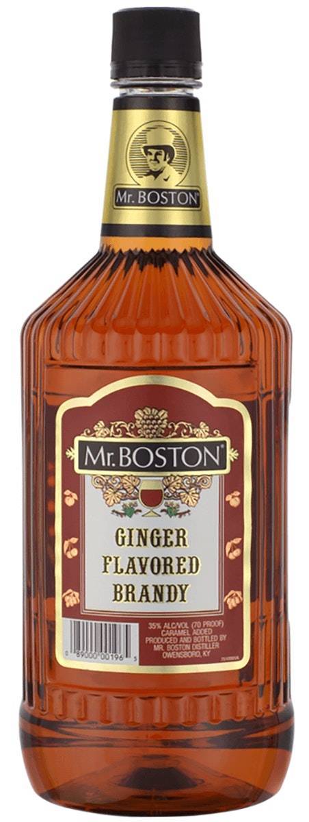 Mr. Boston Ginger Brandy (375ml bottle)