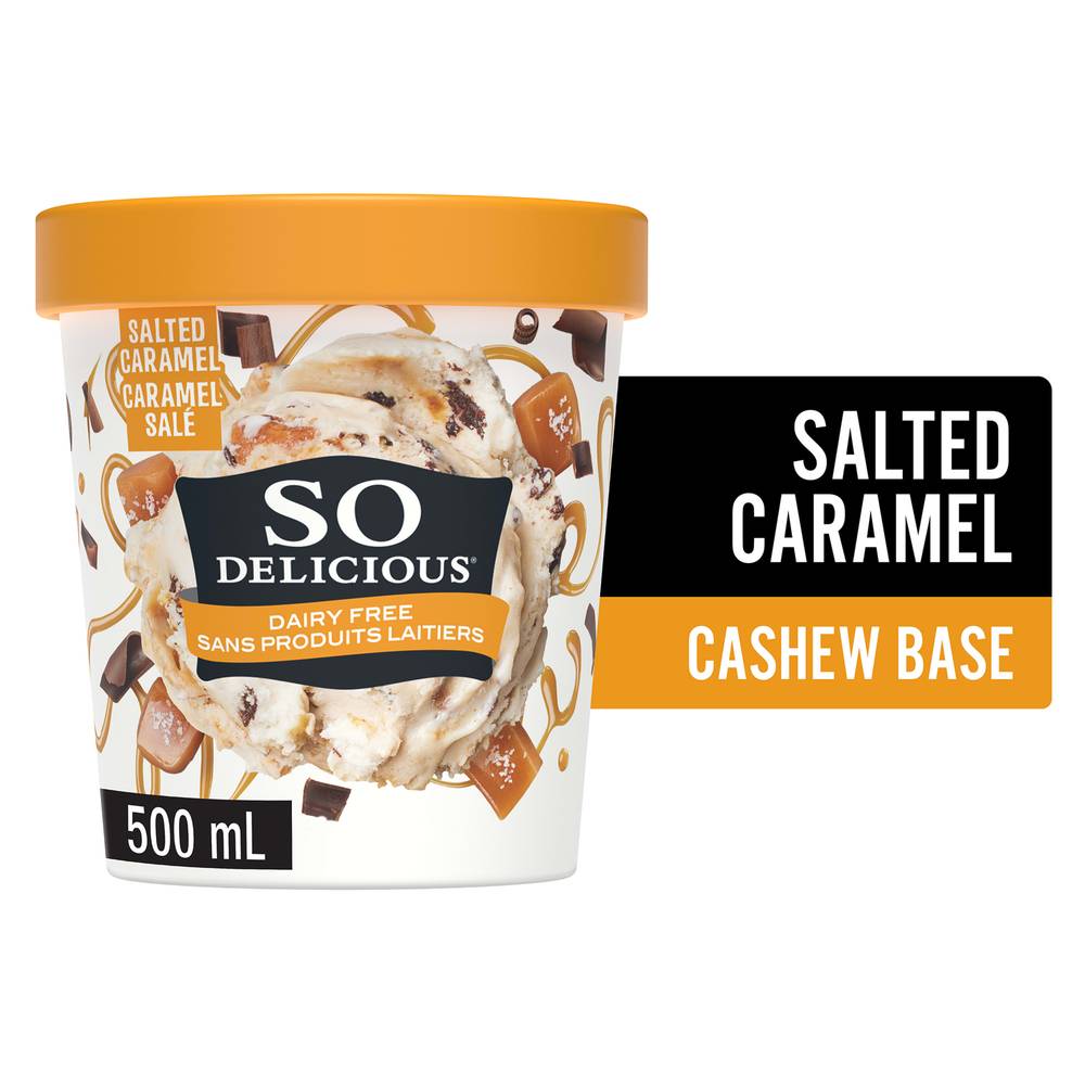 So Delicious Salted Caramel Cluster Cashew Ice Cream (500 g)