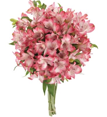 President's Choice Bouquet Floral Alstroemeria / Alstroemeria Floral Bouquet 1.0 EA