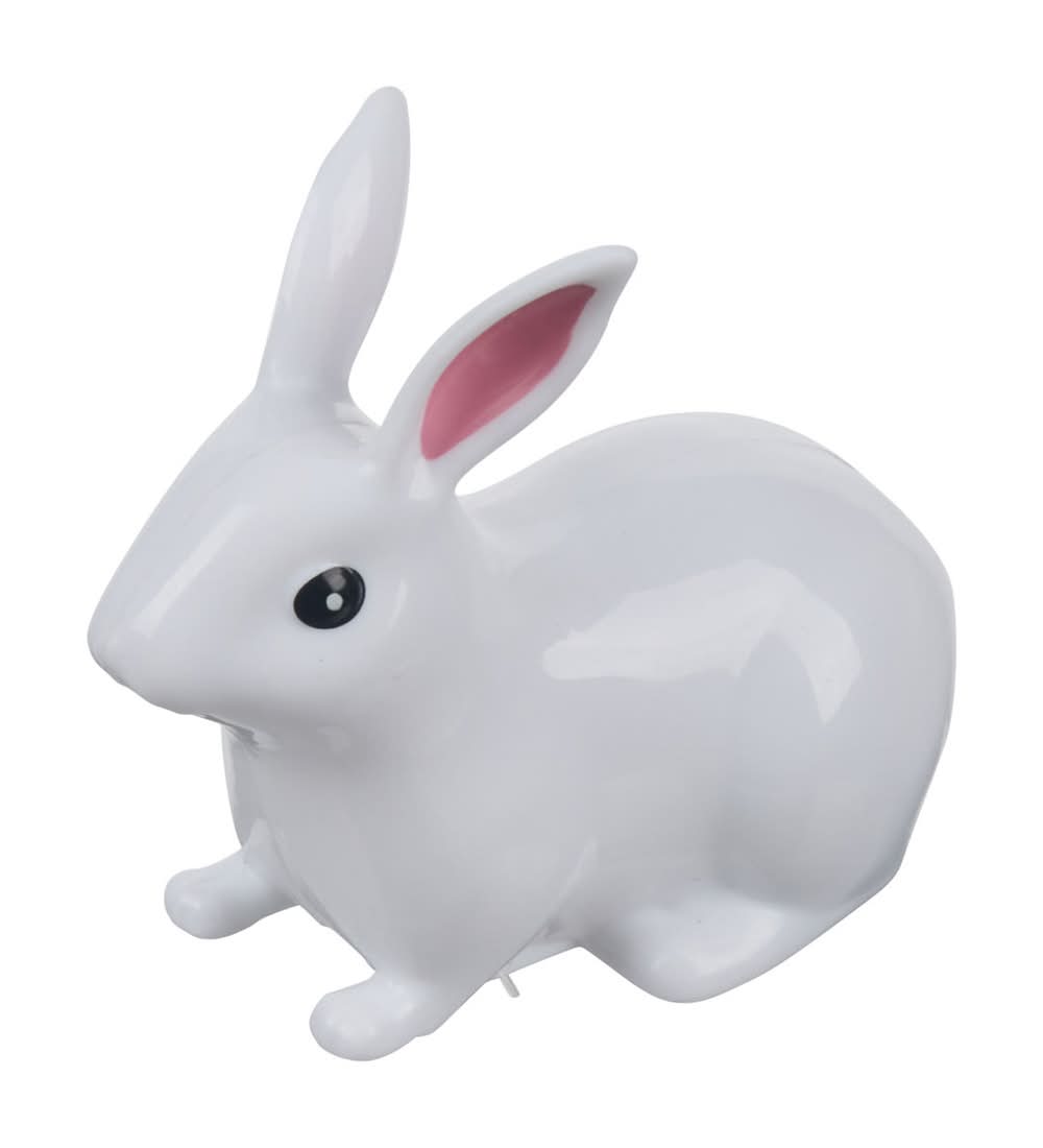 Easter Pull Back Bunny Toy Assorted