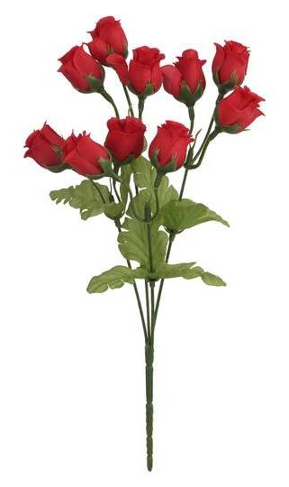 Ashland Rose Bud Bush, 13 in