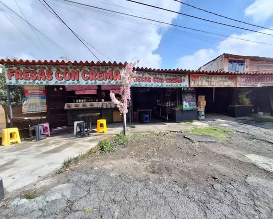 Fresas con Crema las Delicias (Mexico City)