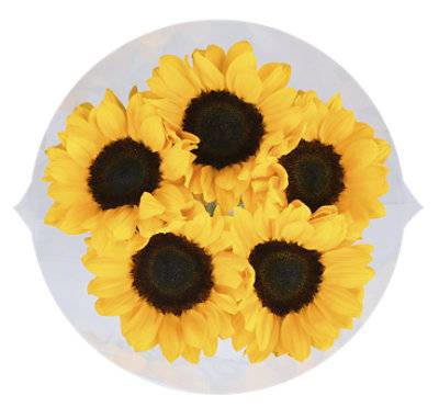 Fancy Sunflowers  - Each