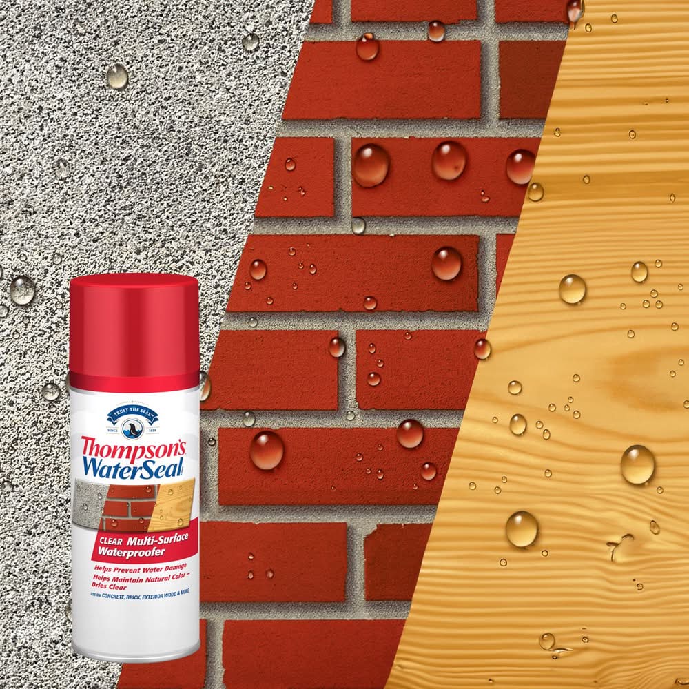 Thompson'S Waterseal Clear Water-Based Multi-Surface Waterproofer 12 Oz