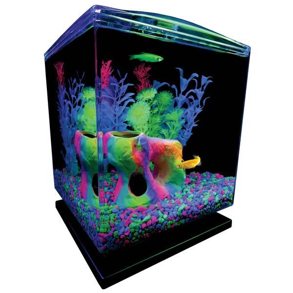 GloFish Aquarium Kit (1.5 gallons, easy setup and maintenance, perfect starter tank)