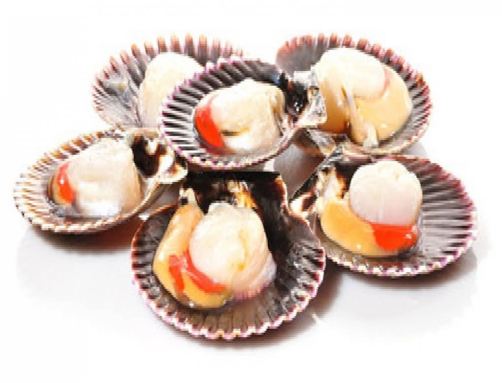 VIEIRA DEL PACIFICO BANDEJA