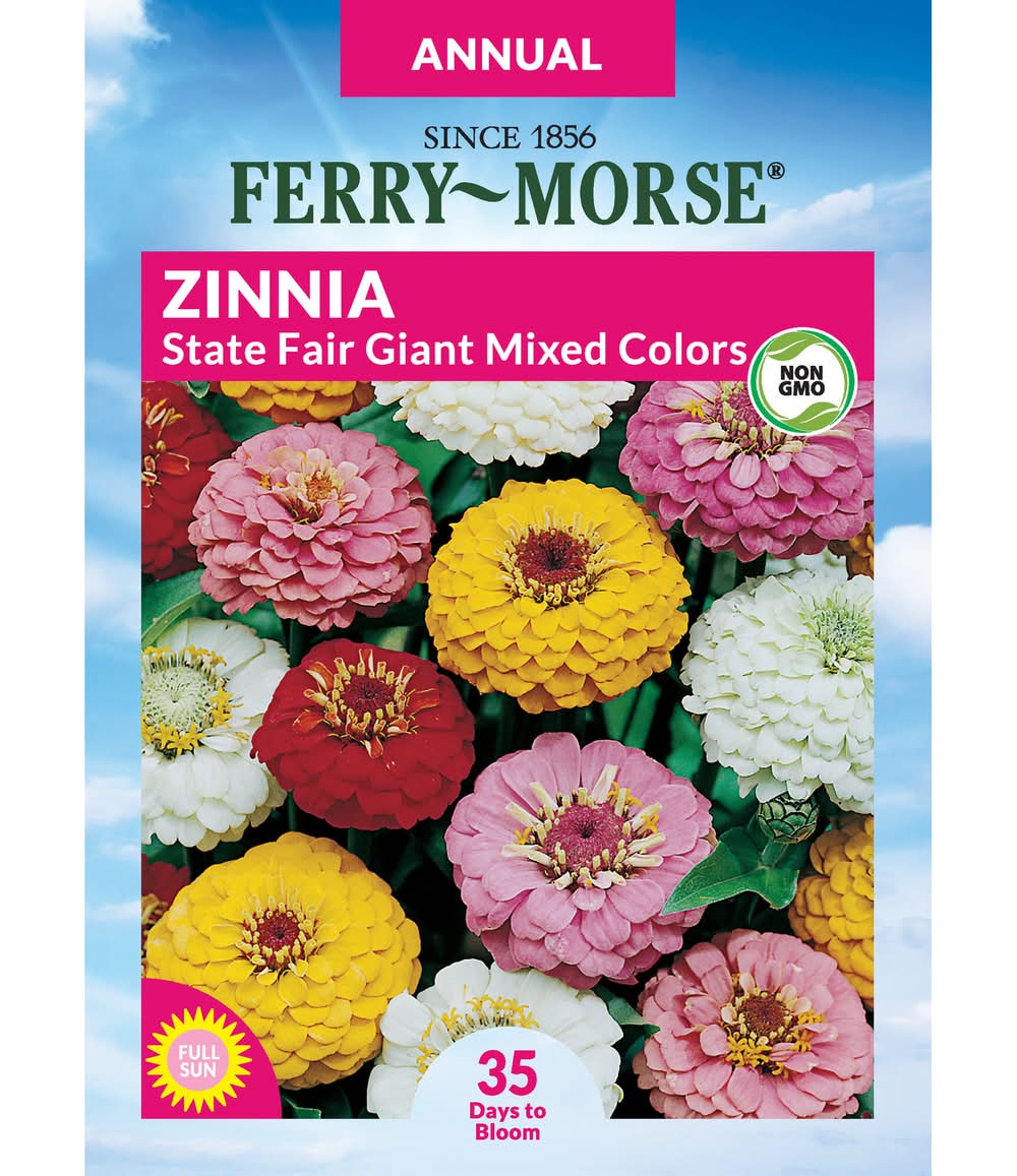 Ferry-Morse Zinnia Seeds 500 Milligram(s)