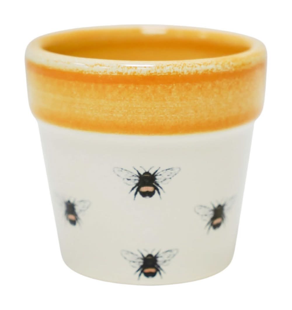 allen + roth Round Glazed Ceramic Indoor Planter, Yellow | Delivery Near  You | Postmates