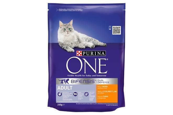 Purina ONE Adult Dry Cat Food Chicken 200g