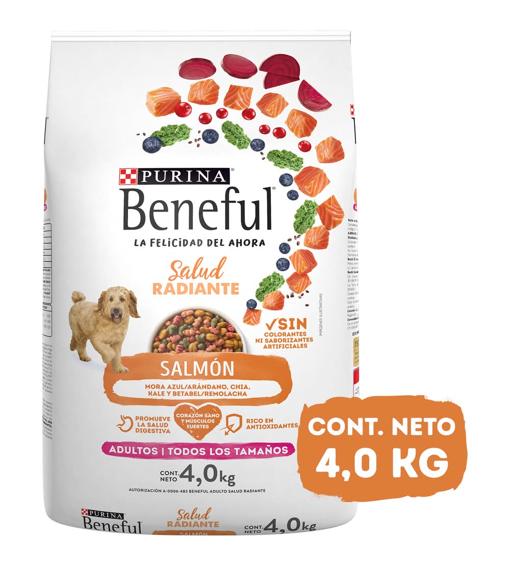 Purina Beneful · Alimento seco para perros, surtido, Adulto-Raza de todos los tamaños (4 kg)