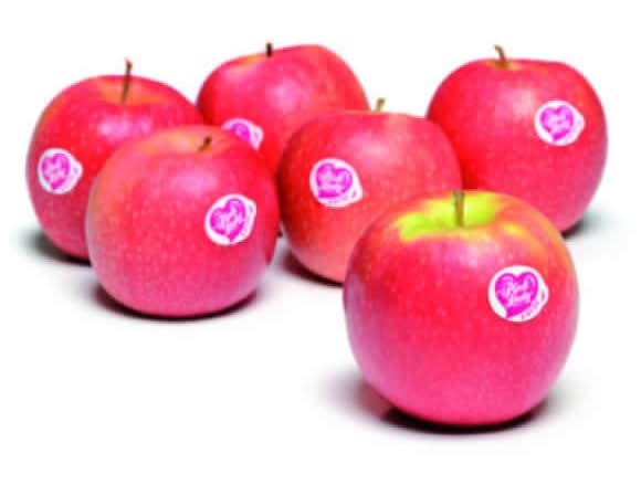 Pink Lady - Pomme bio categorie 1 (4)