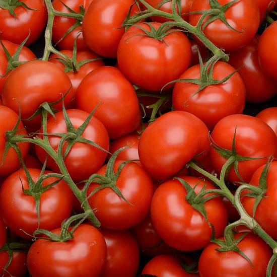 Tomates rondes en grappe bio