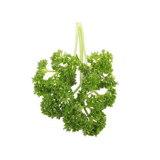 Organic Curly Parsley (1 bunch)