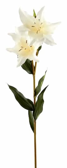 Ashland Lily Stem, 37 In, White