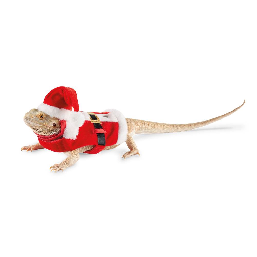 Merry & Bright Reptile Santa Costume, Small