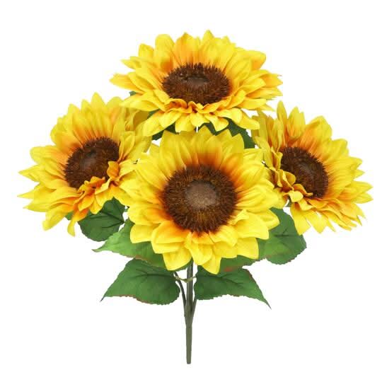 Ashland Sunflower Bush, 18 in, Assorted