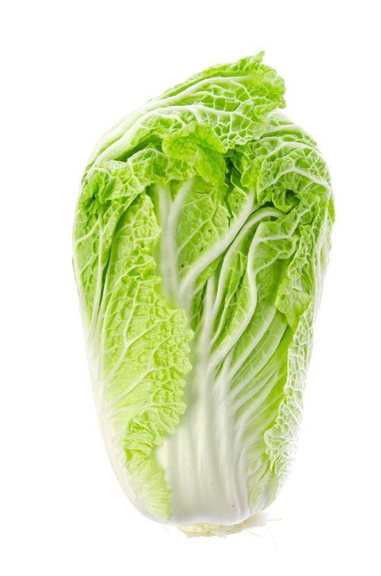 Napa Cabbage (1 ct)