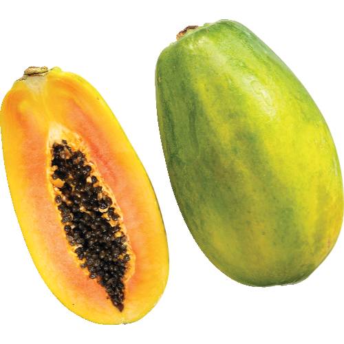 Royal Star Papaya