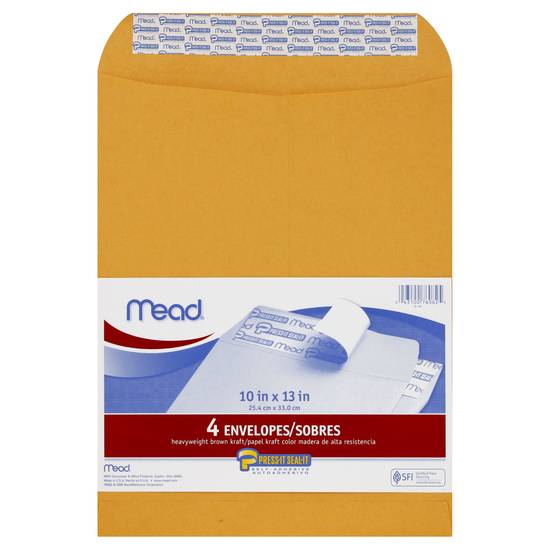 Mead Envelopes (4 ct)