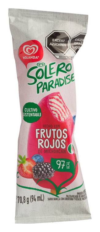 Holanda · Paleta solero paradise frutos rojos (94 ml)