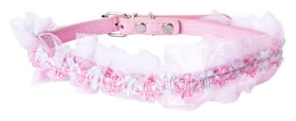 Pawsitively Fun! Pet Jewelry 19in