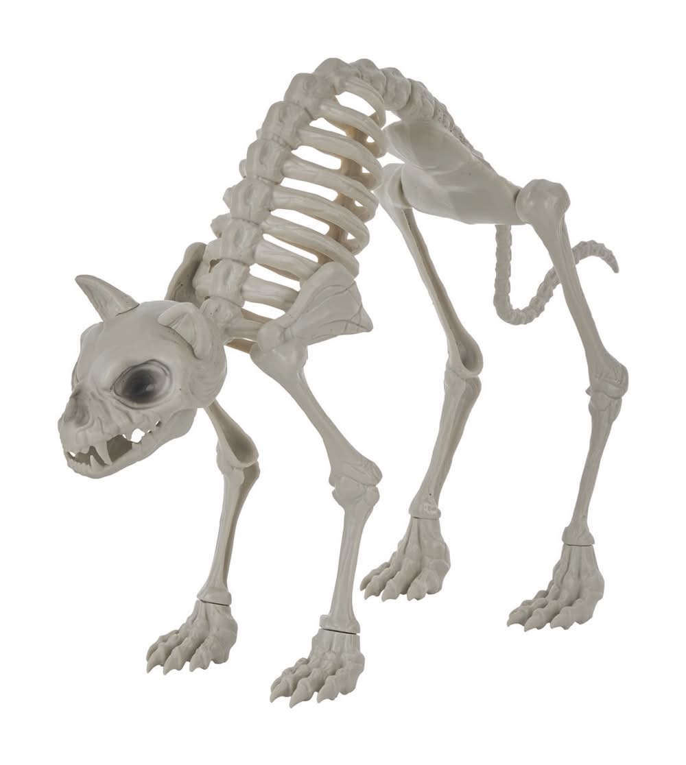 Halloween Cat Skeleton Decor