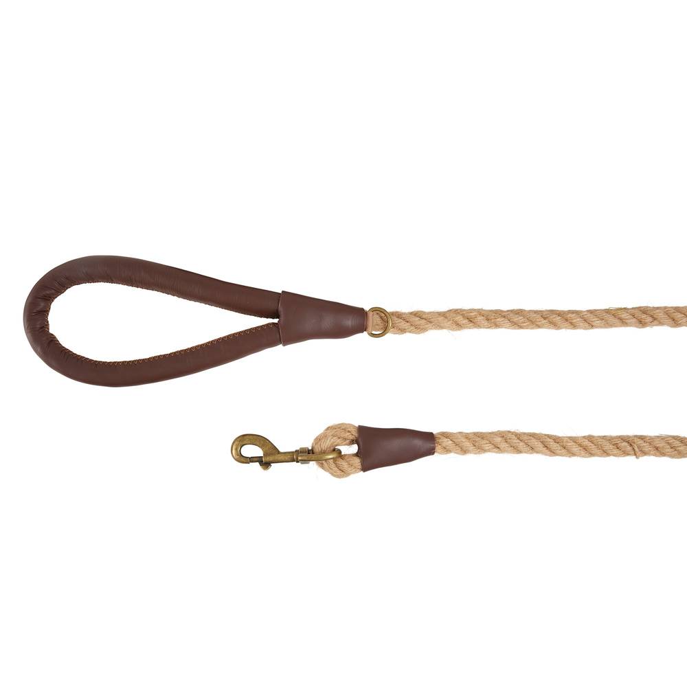 Top Paw Hemp Rope Dog Leash (4 ft/tan, brown)