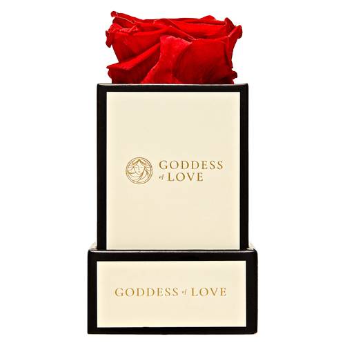 Goddess of Love Preserved Rose 1ct