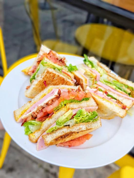 Avocado Turkey Club