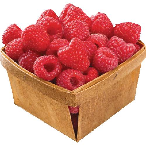 Organic Raspberries