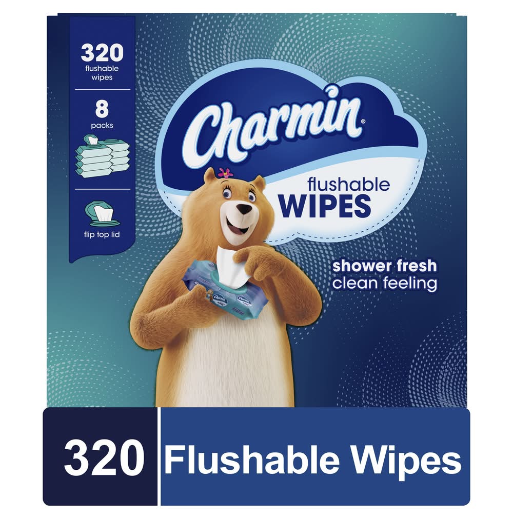 Charmin Flushable Wipes (4.2 lbs)