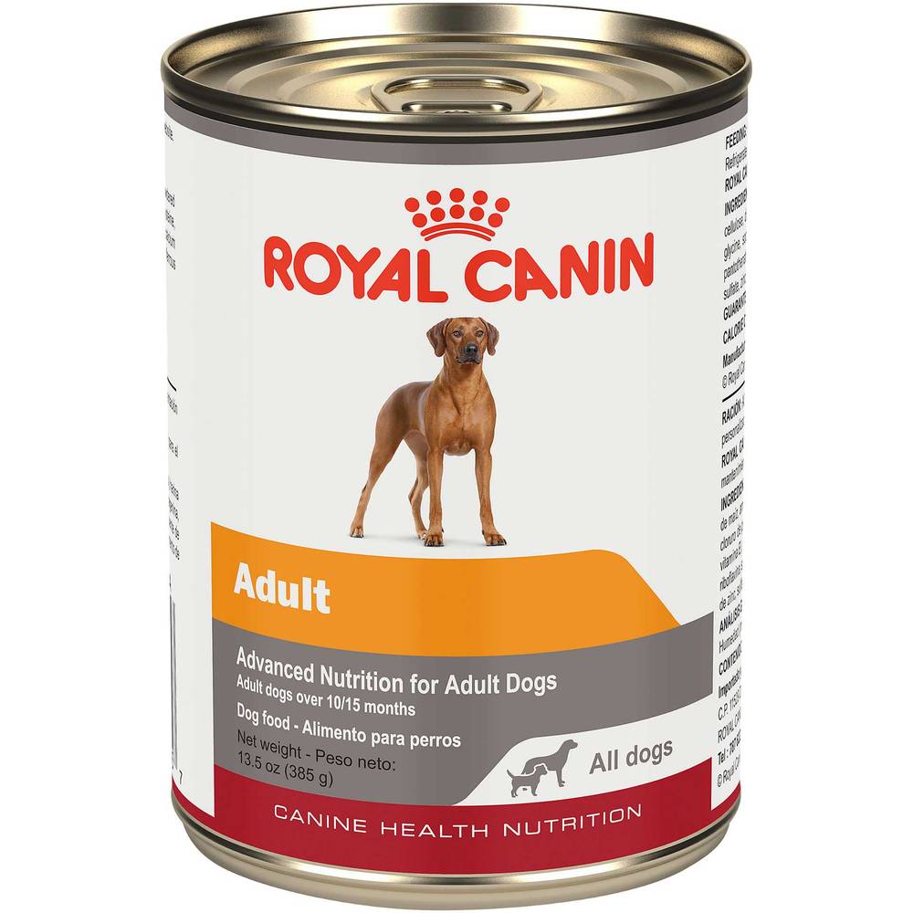 Royal Canin® Canine Health Nutrition™ Adult In Gel Canned Dog Food, 13.5 Ounce