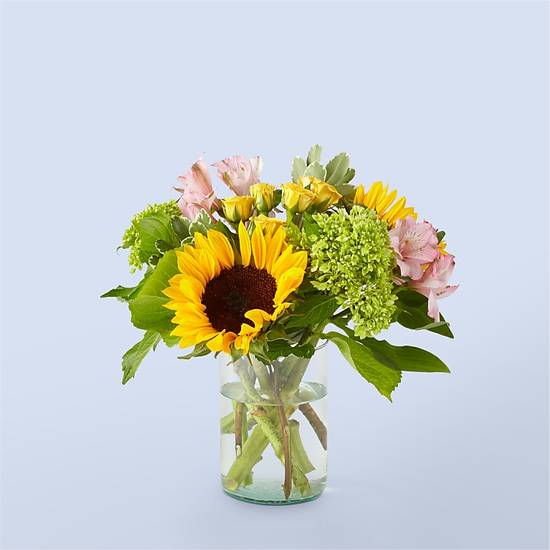Order Butterfly Kisses food online from Proflowers store, Novato on bringmethat.com