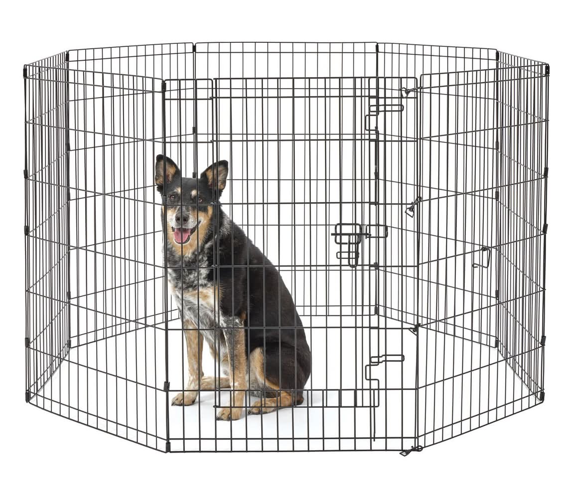 Essentials Exercise Pen with Door, 36 in