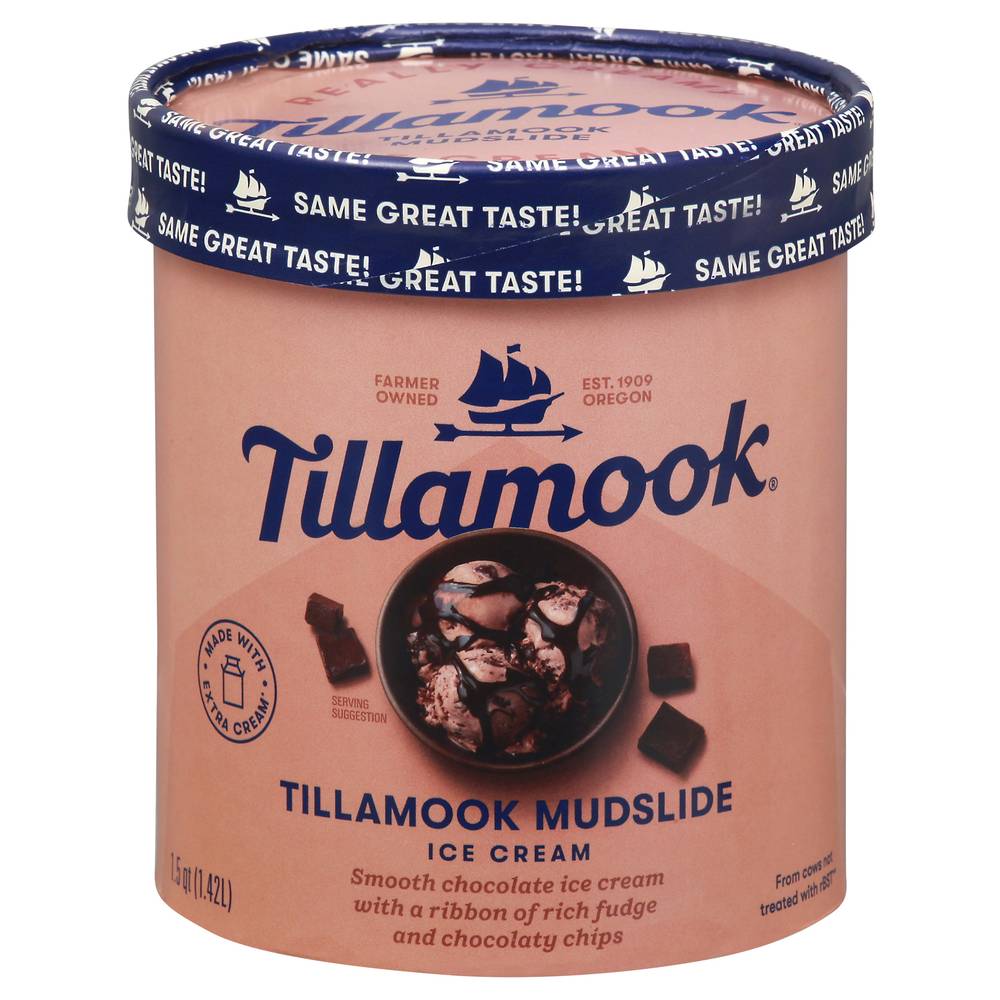 Tillamook Mudslide Ice Cream (chocolate)