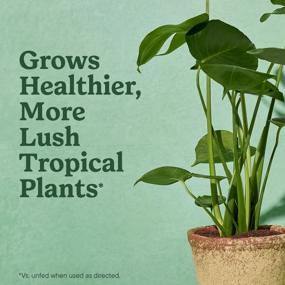 Miracle-Gro Indoor Potting Mix 6 Quart(s) Tropical and succulent Potting  soil mix | Postmates