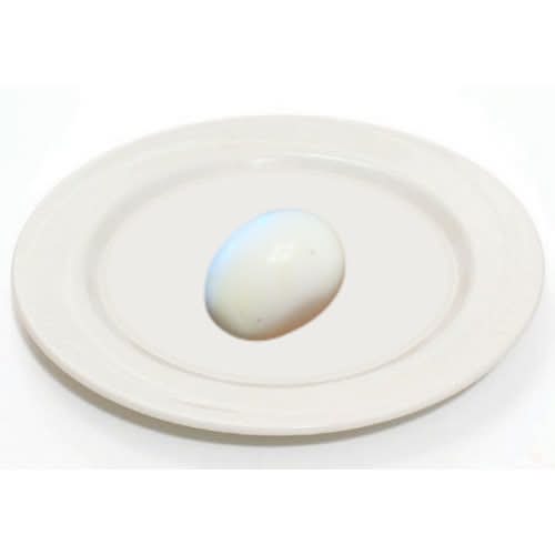 Hard Boiled Egg