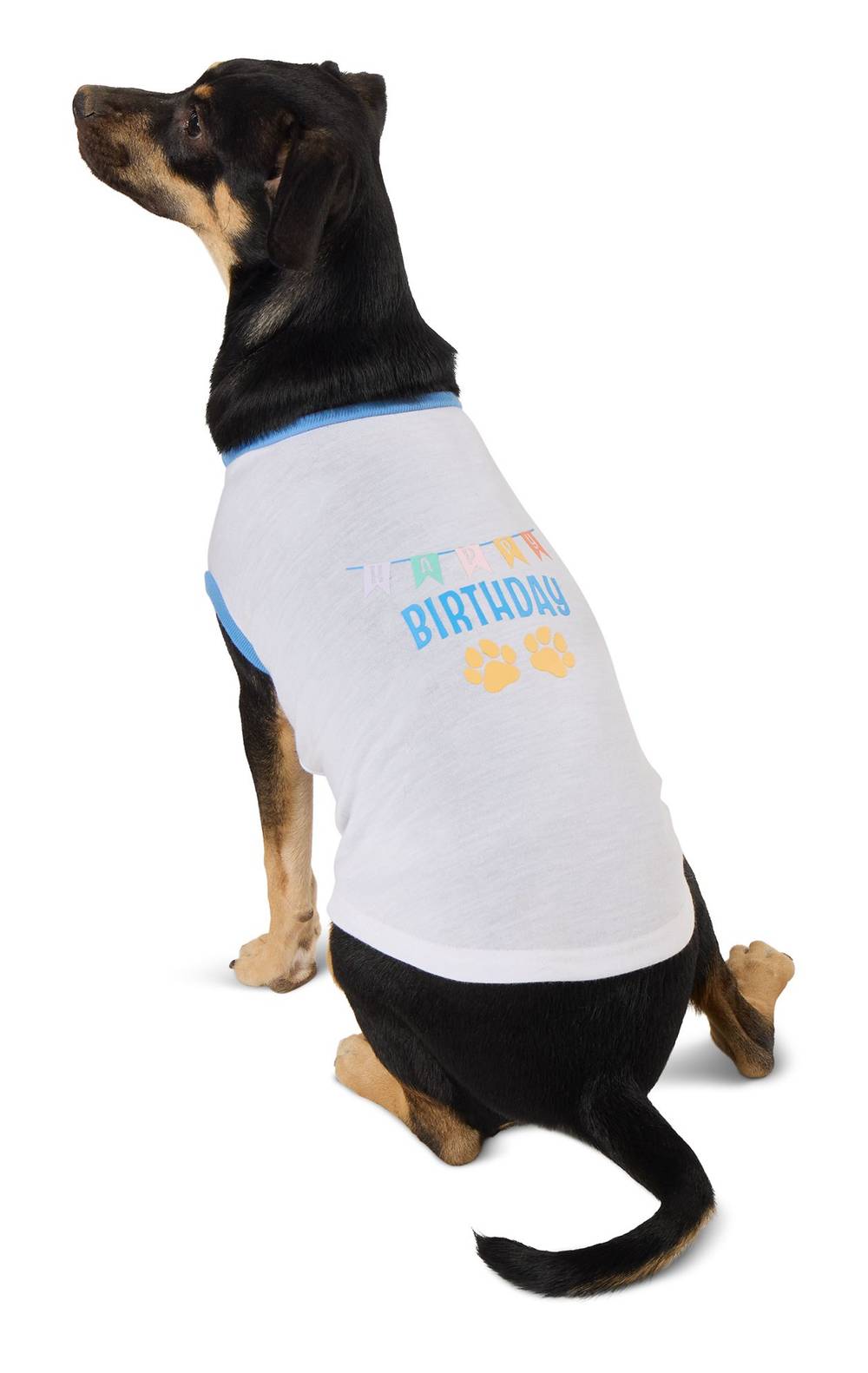 Top Paw Birthday Dog Tee, Medium, White