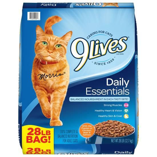 9Lives Gentle Care Dry Cat Food With Chicken And Turkey Flavors