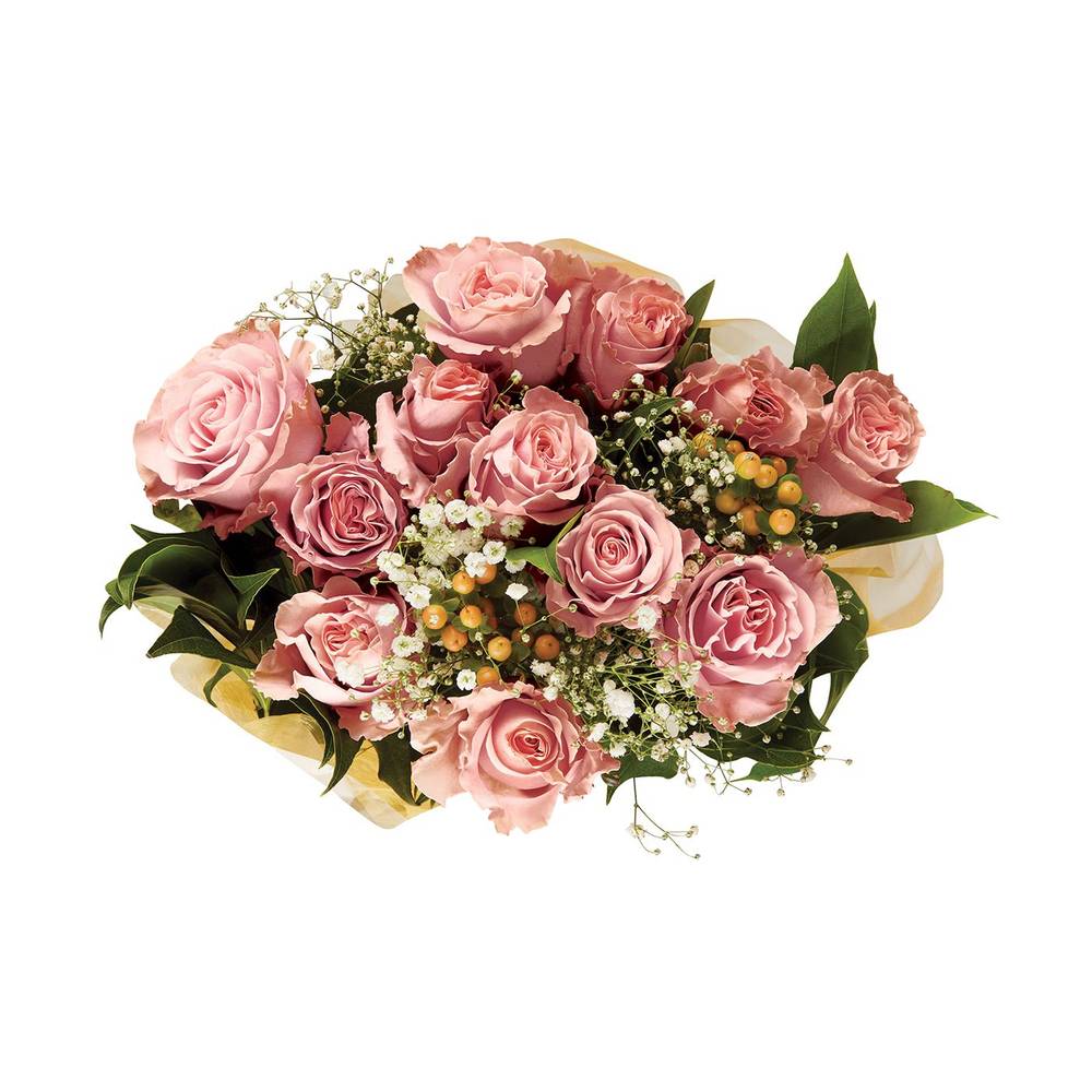 Nob Hill Trading Co. Dozen Pink Rose Bouquet 1 Ea