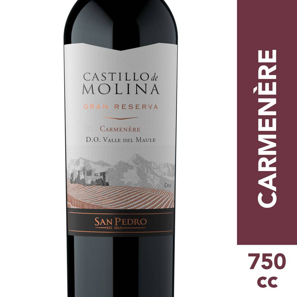 Castillo de Molina · Vino carménère gran reserva (750 ml)