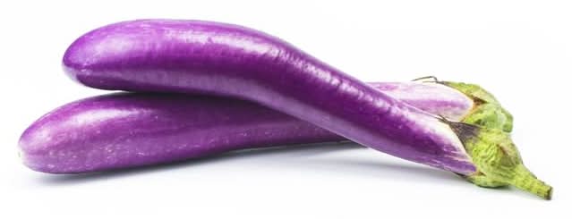 Japanese Eggplant