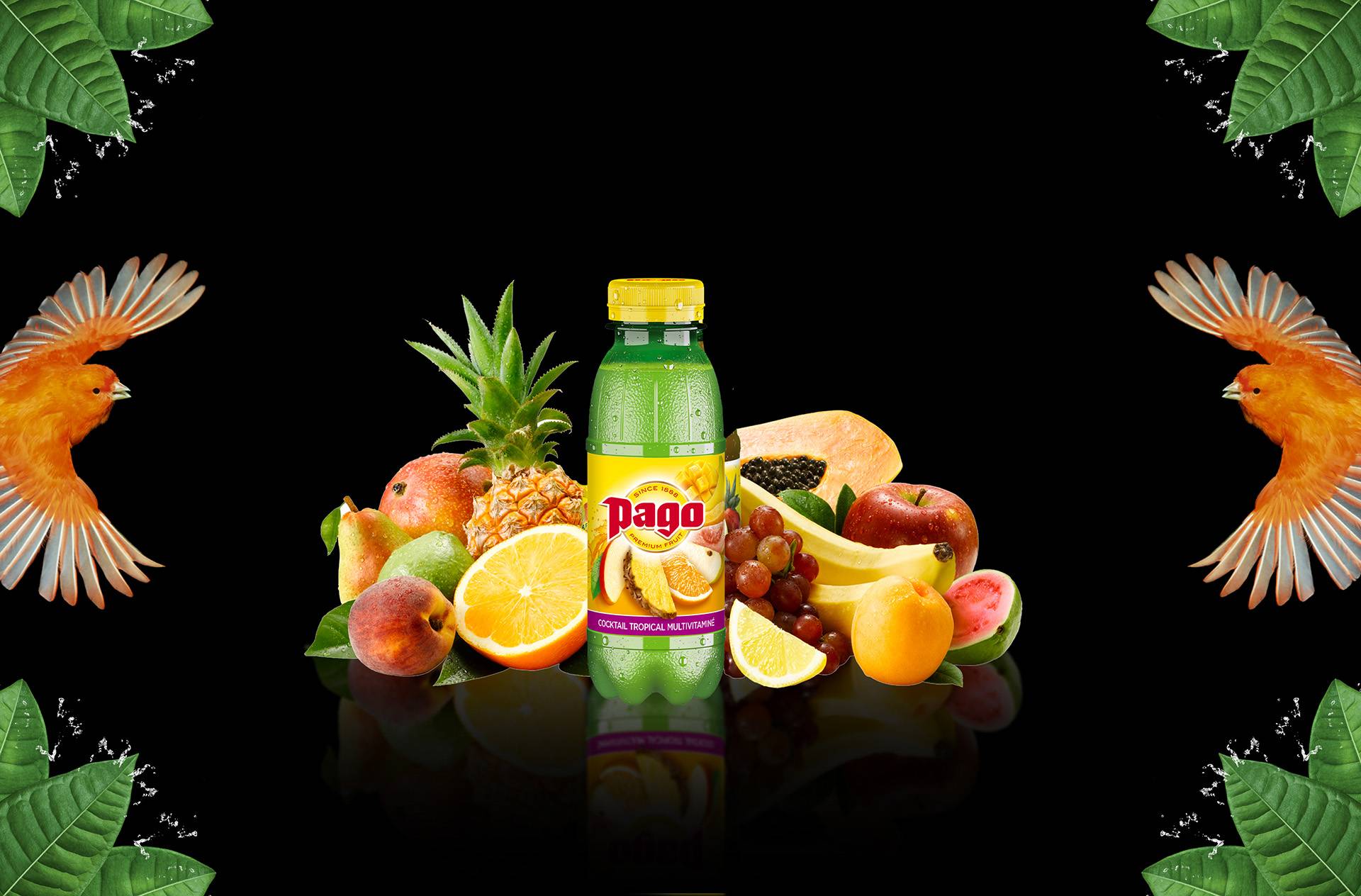 Pago Multi Fruits
