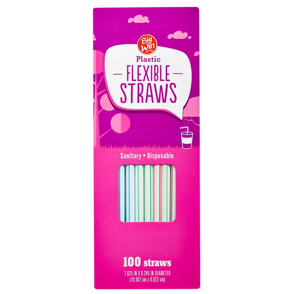 Big Win Flexible Plastic Straws (100 ct)