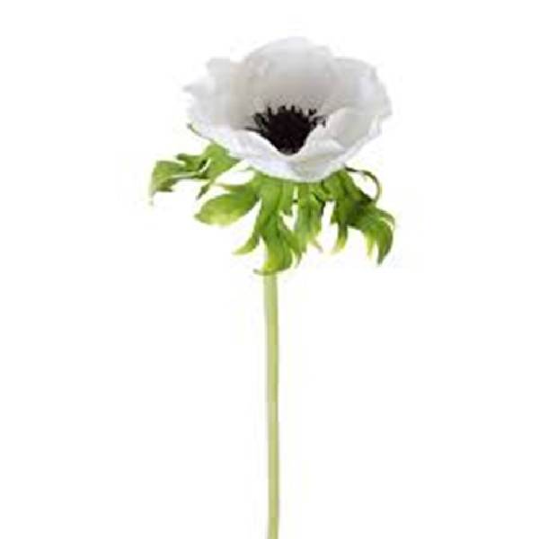 Lindseys Mix Anemones 5 Stem