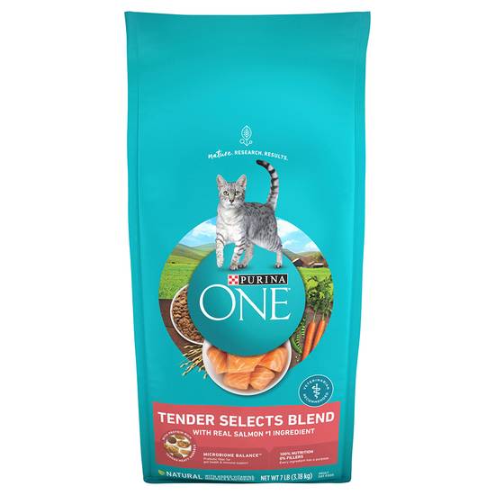 Purina One Natural Dry Cat Food Tender Selects Blend With Real Salmon
