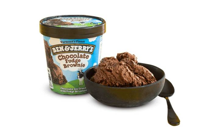 Ben & Jerry's Chocolate Fudge Brownie