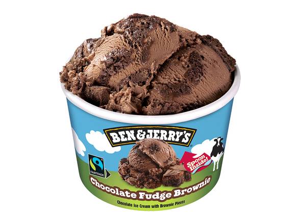 Chocolate Fudge Brownie - Ben & Jerrys™ - 100ml