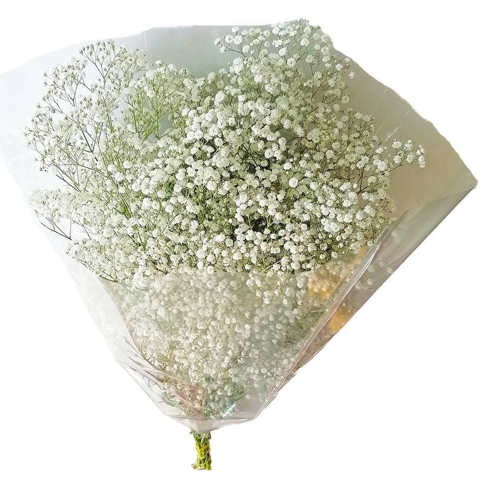 Remem floral bouquet de flores baby breath (1 pieza)